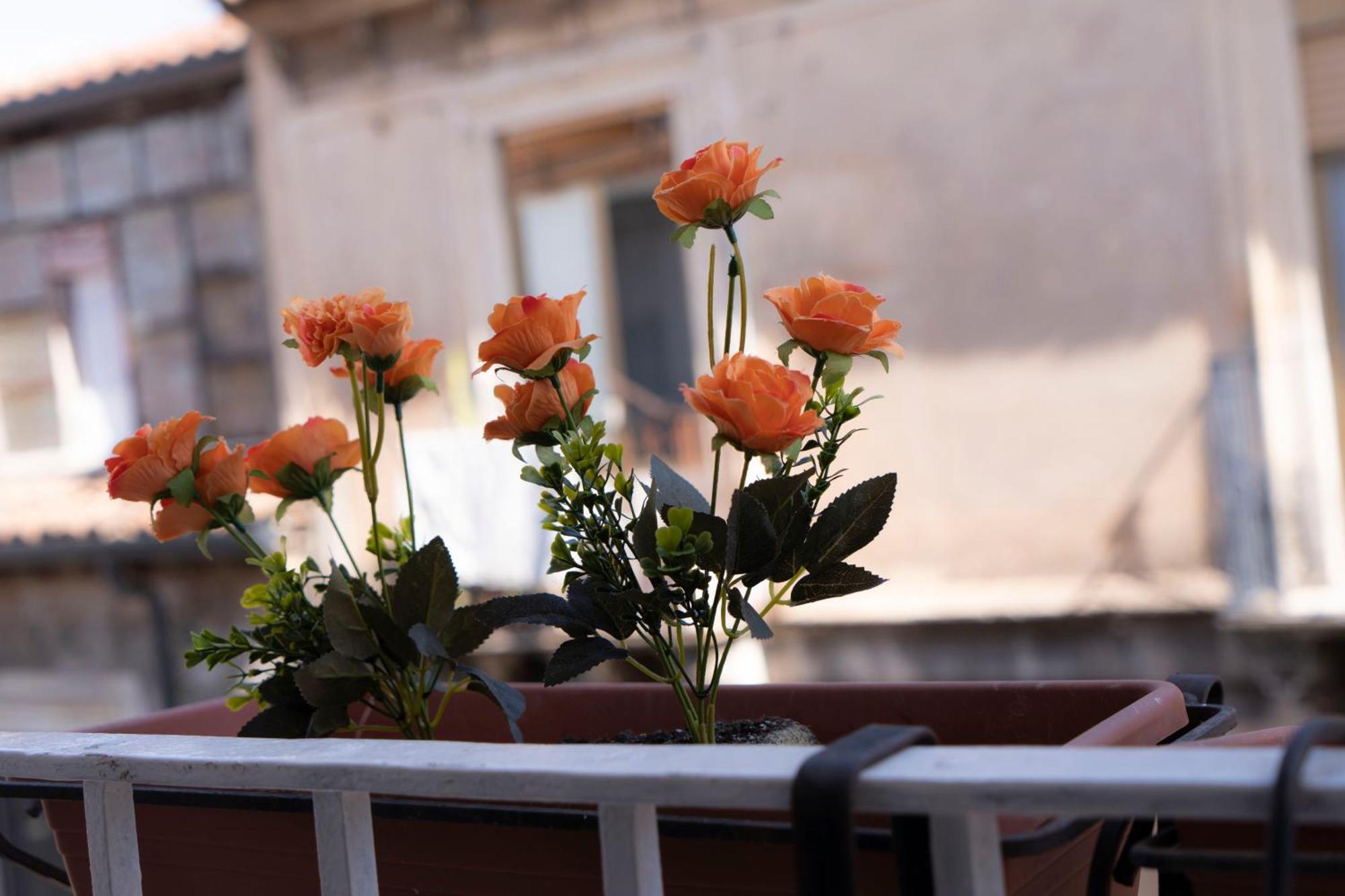 Etna Timeo Central Apartment In Baroque Building 카타니아 외부 사진